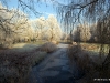 Winterwonderland-21